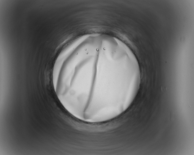 X0000086110010200704132219