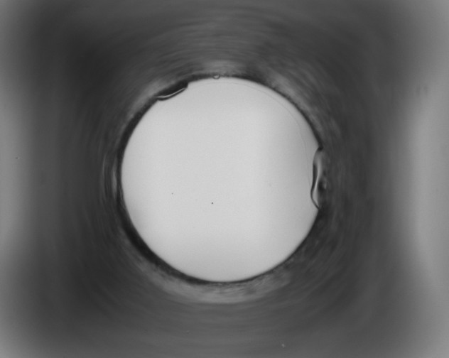 X0000086110011200704132219