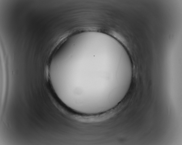 X0000086110013200704132219