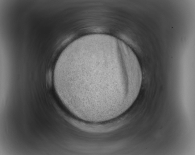 X0000086110014200704132219