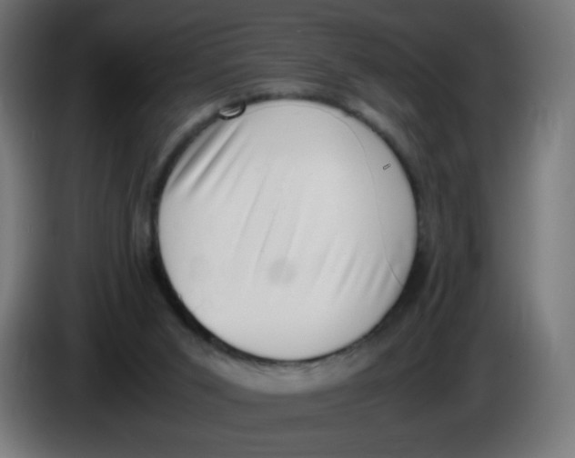 X0000086110015200704132219