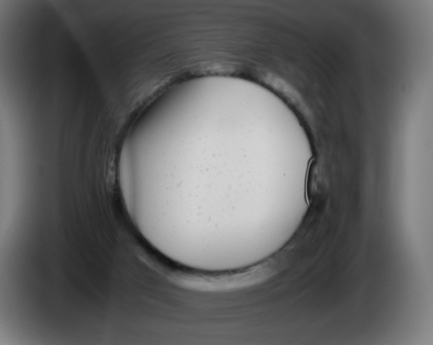 X0000086110017200704132219