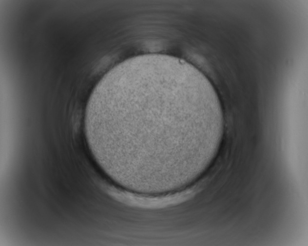 X0000086110018200704132219