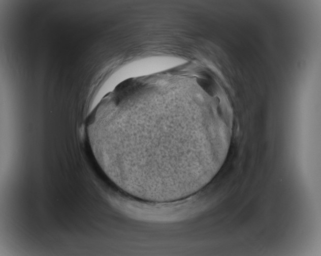 X0000086110019200704132219