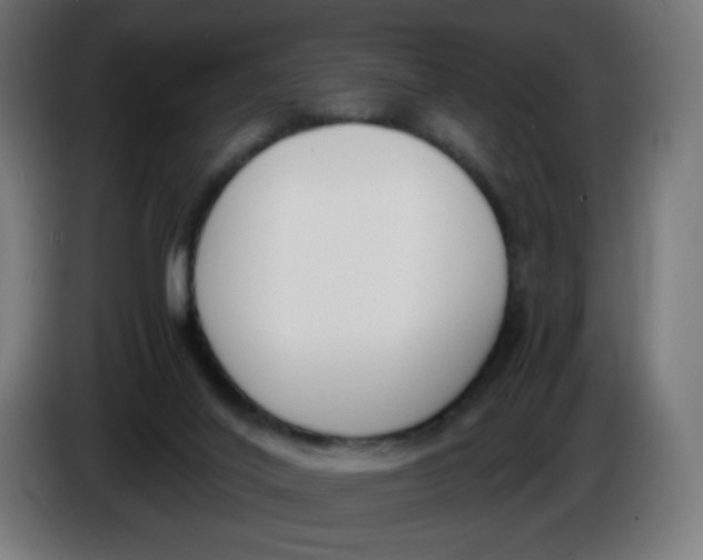 X0000086110020200704132219