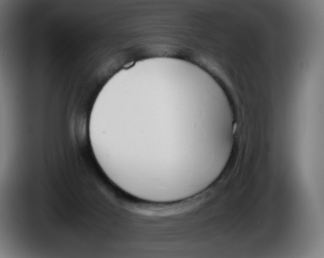 X0000086110021200704132219