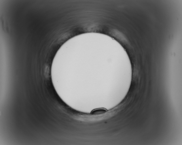 X0000086110025200704132219