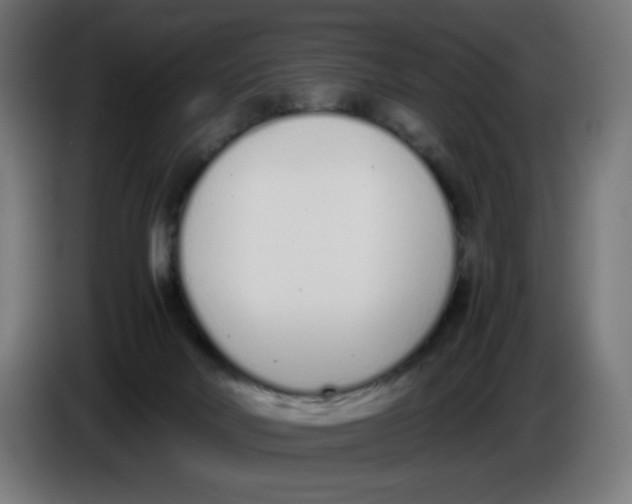 X0000086110026200704132219