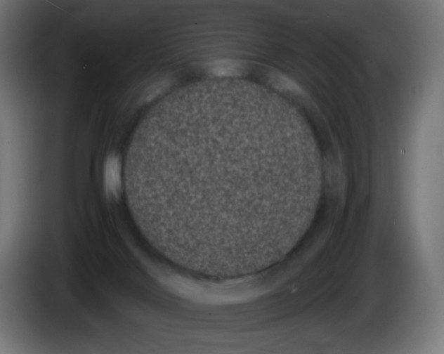 X0000086110028200704132219