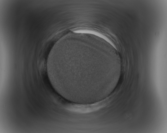 X0000086110029200704132219