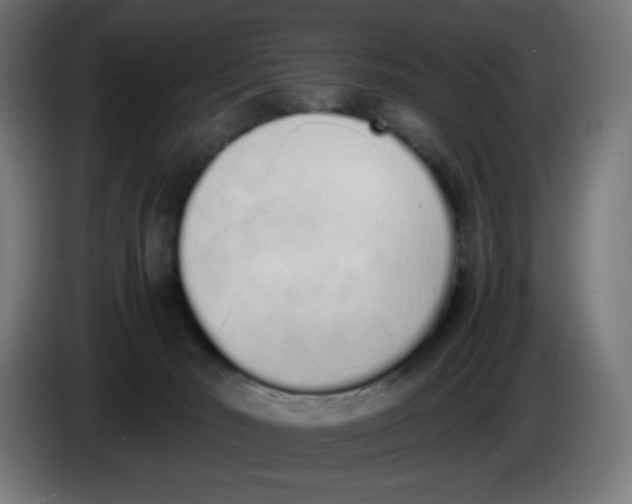 X0000086110030200704132219