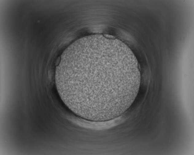 X0000086110031200704132219