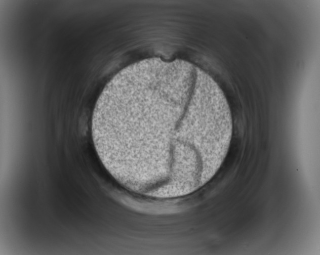 X0000086110032200704132219