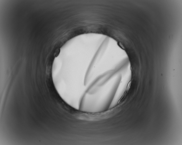 X0000086110033200704132219