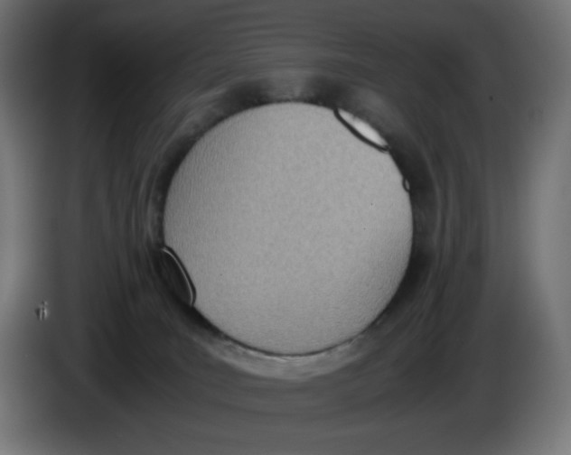 X0000086110035200704132219