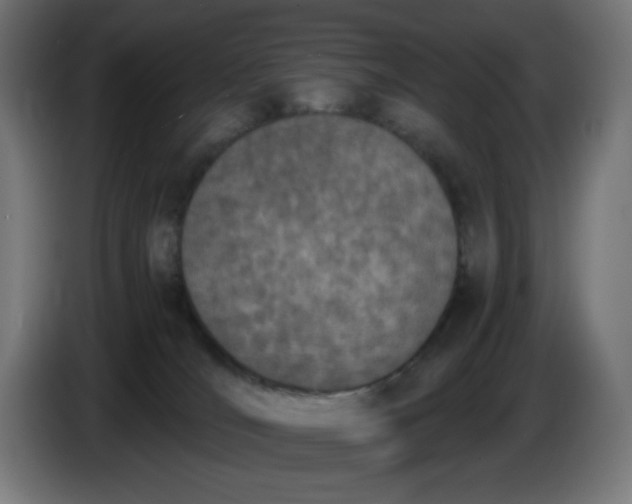 X0000086110036200704132219