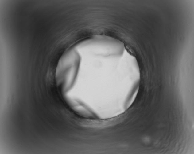 X0000086110037200704132219