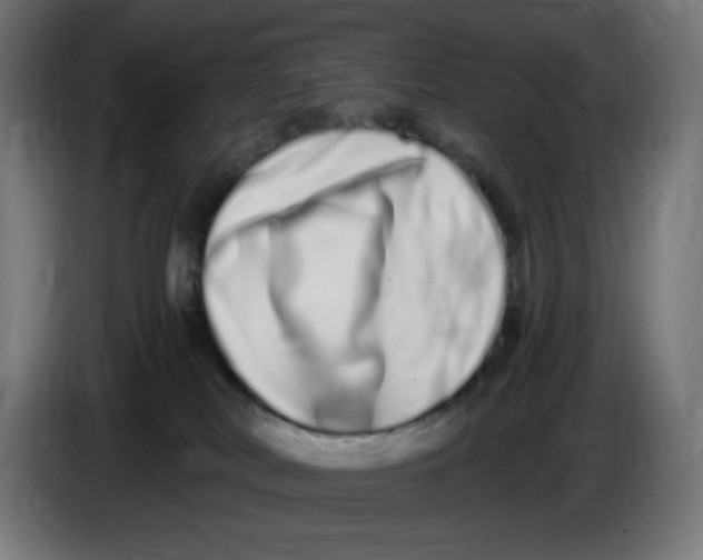 X0000086110038200704132219