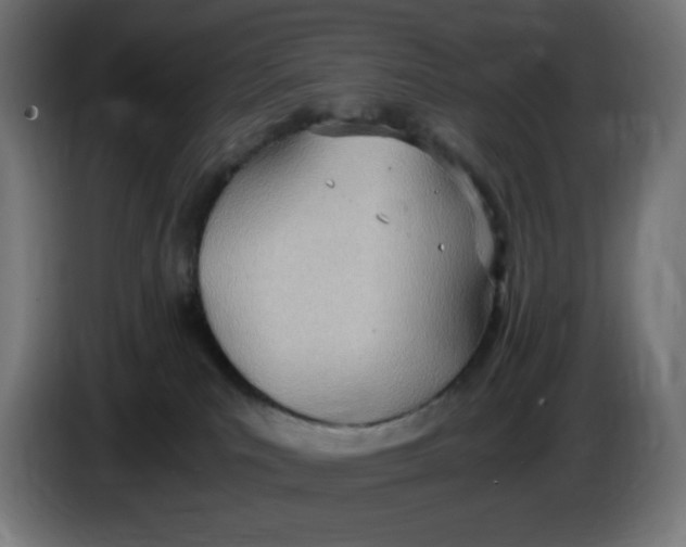 X0000086110039200704132219