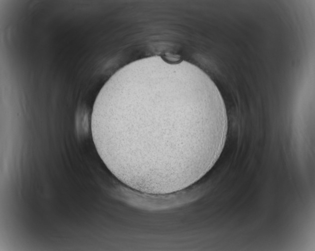 X0000086110042200704132218