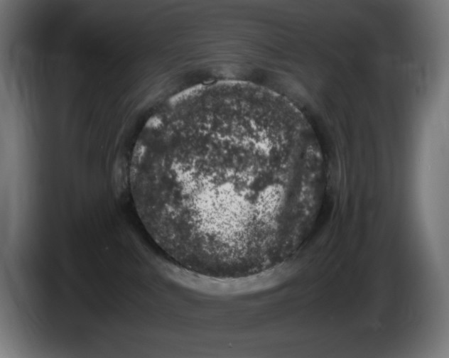 X0000086110043200704132218