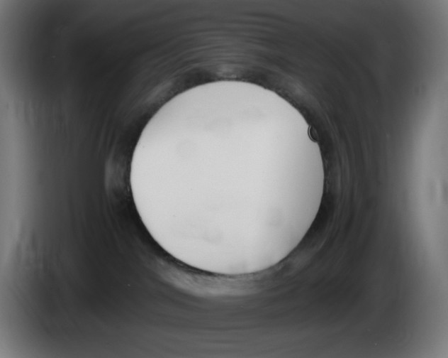 X0000086110044200704132218