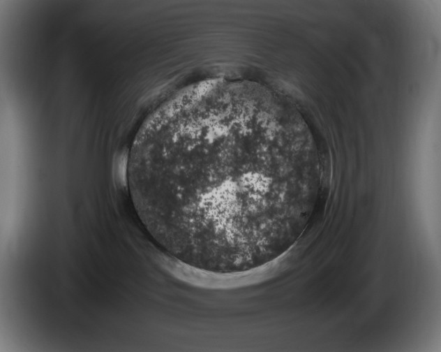 X0000086110047200704132218