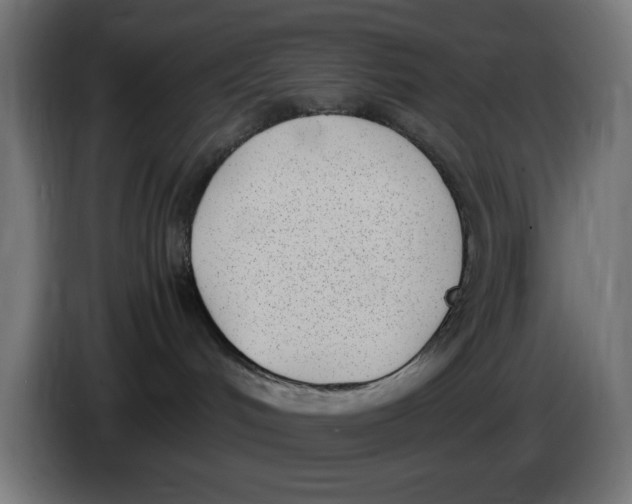 X0000086110048200704132218