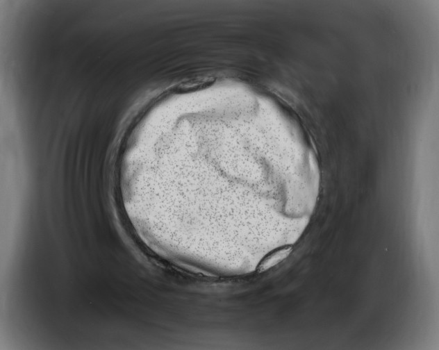 X0000086110049200704132218