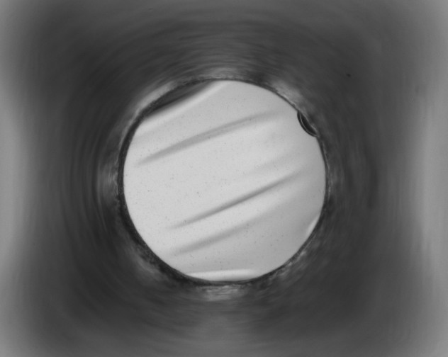 X0000086110050200704132218