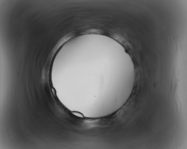 X0000086110051200704132218