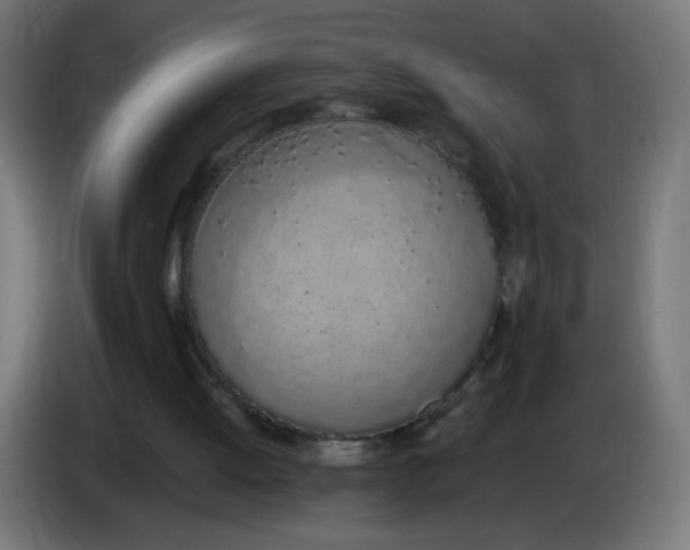 X0000086110052200704132218