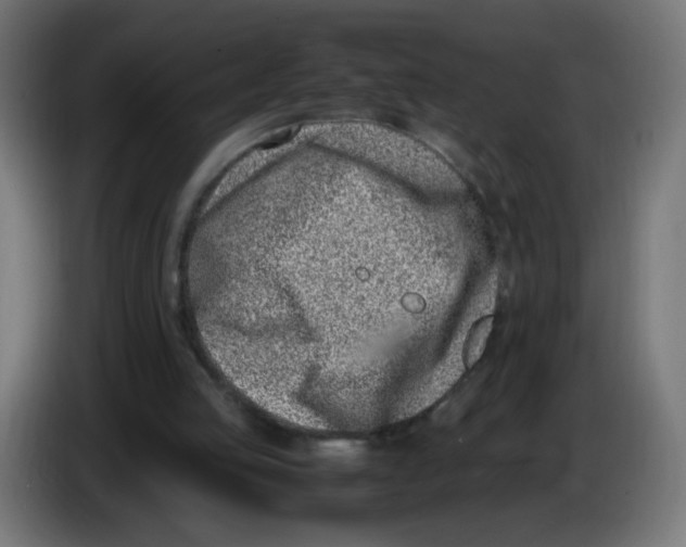 X0000086110053200704132218