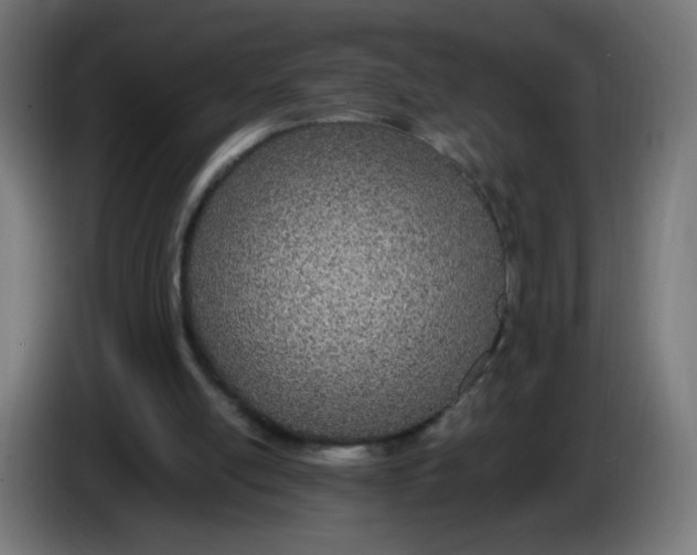 X0000086110054200704132218