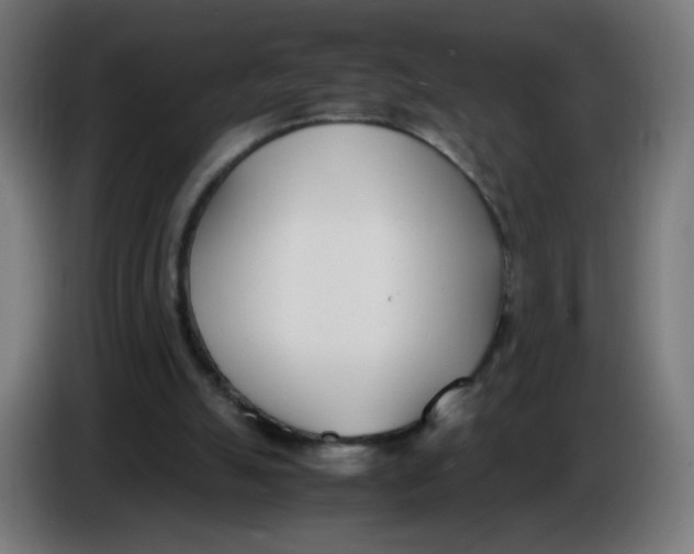 X0000086110055200704132218