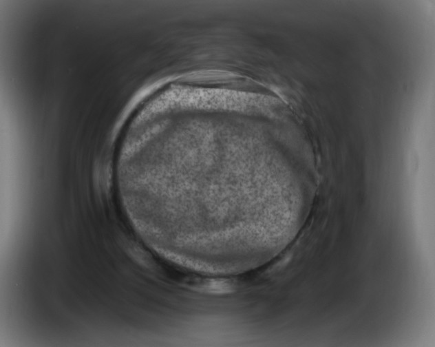 X0000086110056200704132218