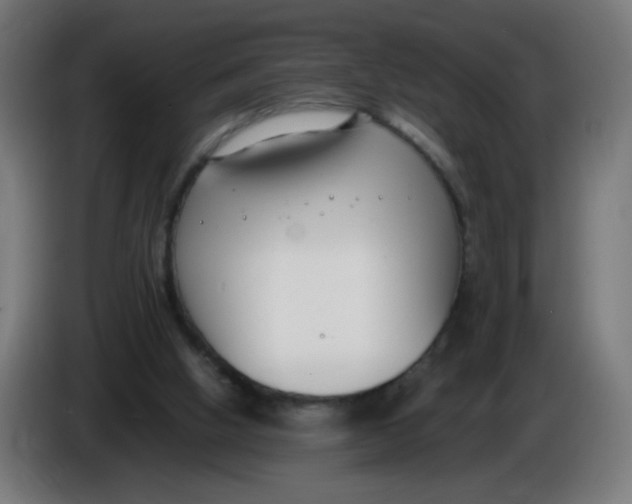 X0000086110058200704132218