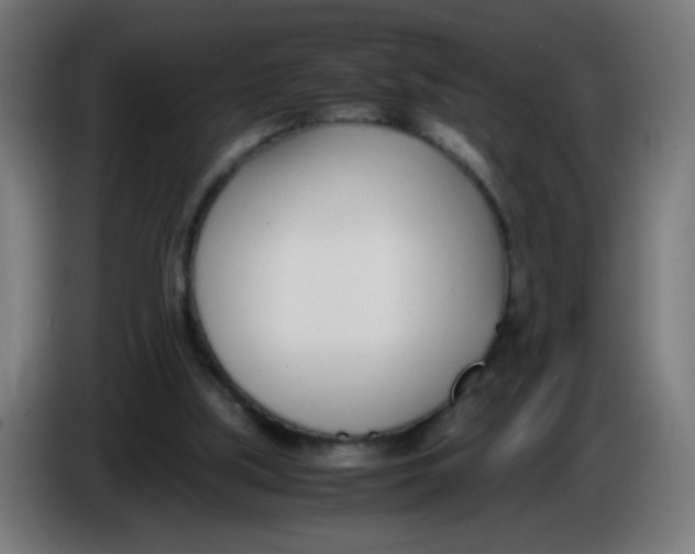 X0000086110059200704132218