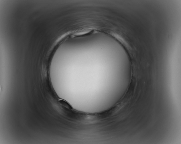 X0000086110060200704132218