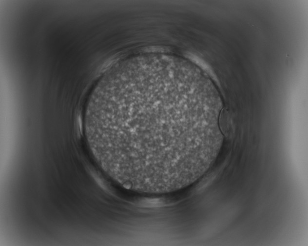 X0000086110061200704132218