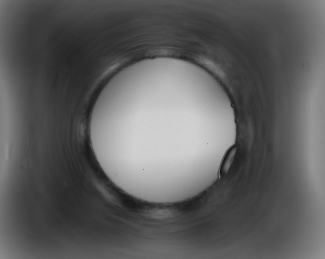 X0000086110063200704132218