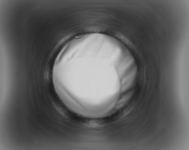 X0000086110064200704132218