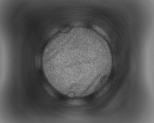 X0000086110065200704132218