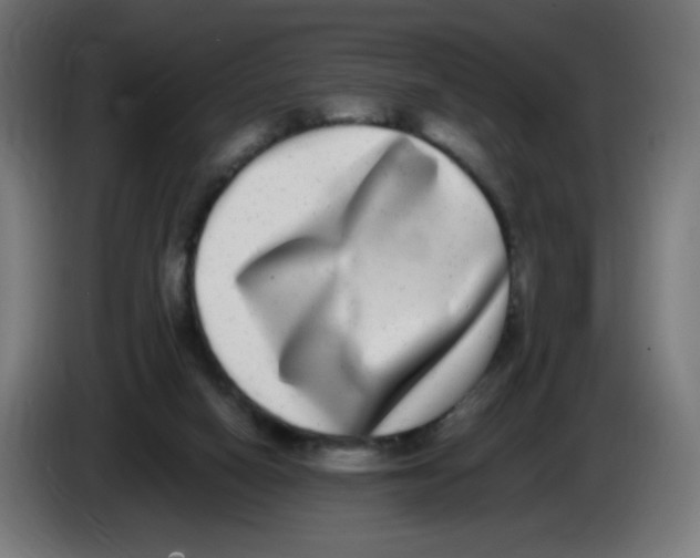 X0000086110066200704132218