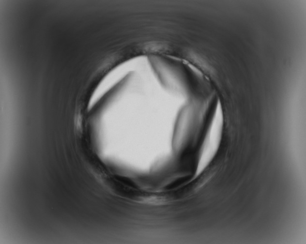 X0000086110067200704132218