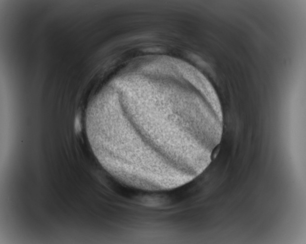 X0000086110069200704132218