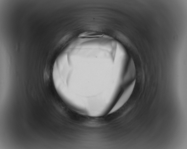 X0000086110072200704132218