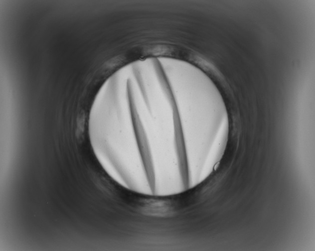 X0000086110073200704132218