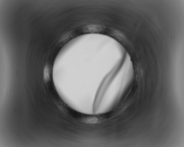 X0000086110075200704132218