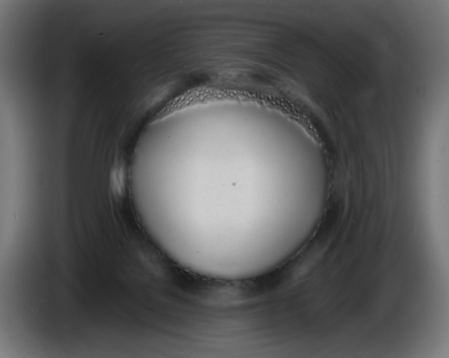 X0000086110076200704132218